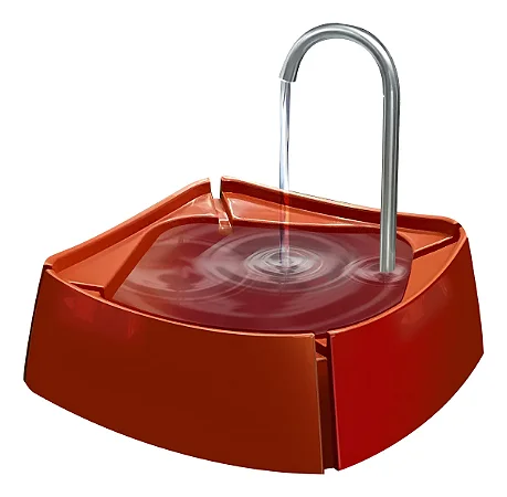 Bebedouro Fonte Gatos Cachorros Cães 1 Litro Dado Bivolt