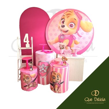 Kit Decoração Pegue e Monte Patrulha Canina Sky para Alugar