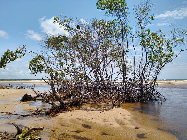 Colégio Salesiano - Ensino Médio - Sustentabilidade nos oceanos