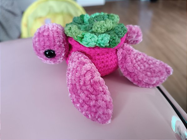 Tartaruga Rosa