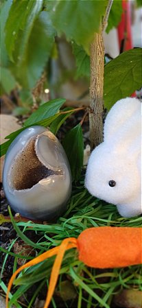 Ovo de Ágata Natural com Cavidade