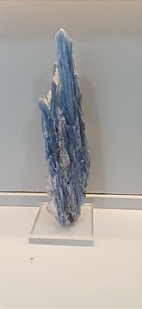 Cianita Azul Espada de Miguel Arcanjo