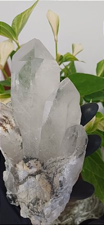 Drusa de Cristal Lemuriano com Lodolita