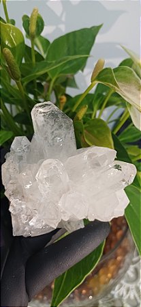 Drusa de Cristal Lemuriano Natural