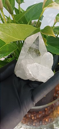 Drusa de Cristal Lemuriano Purificante