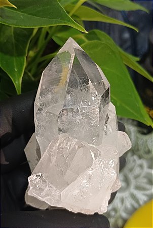 Drusa de Cristal Lemuriano Natural