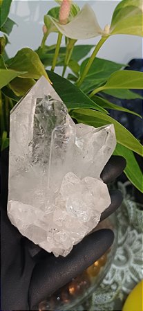 Drusa de Cristal Lemuriano Catedral