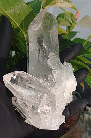 Drusa de Cristal Lemuriano Natural