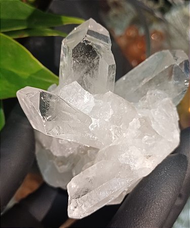 Drusa Cristal Lemuriano Natural