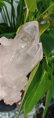 Drusa de Cristal Lemuriano Natural