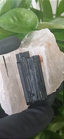 Turmalina Negra na Matriz de Quartzo Natural