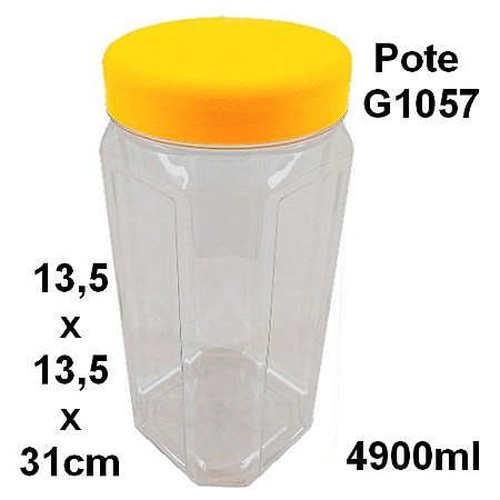Pote Multiuso com Tampa 4900ml G1057 kit com 2un