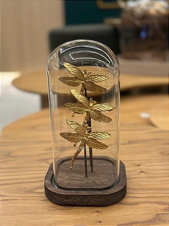 Cupula Vidro Libelula
