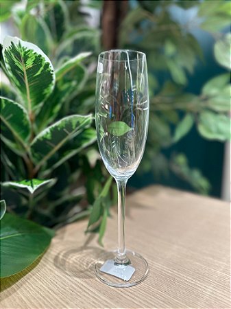 Taça cristal Champanhe colibri 220 ml