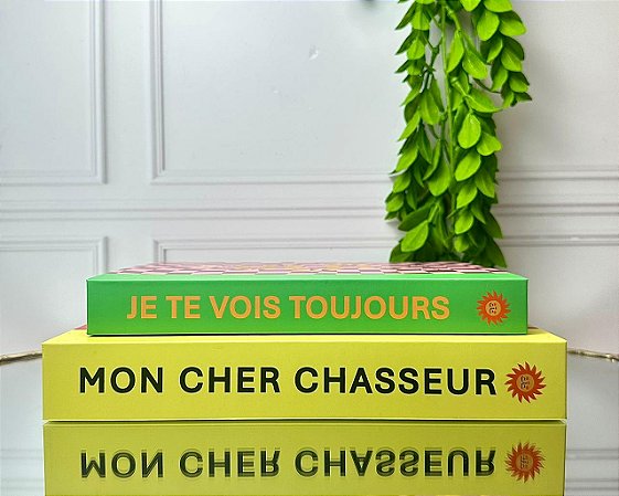 Jogo 2 caixas livro onça pintada