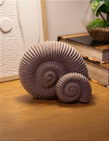 Peça Decorativa Conchas em Resina