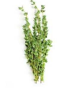 Alecrim Fresco - Erva Aromática Natural