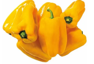 Pimentão Amarelo Fresco e Saboroso