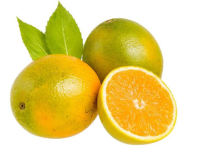 Laranja Pera - Fruta Fresca e Suculenta