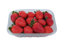 Morango Fresco - Bandeja com Deliciosos Frutos Vermelhos