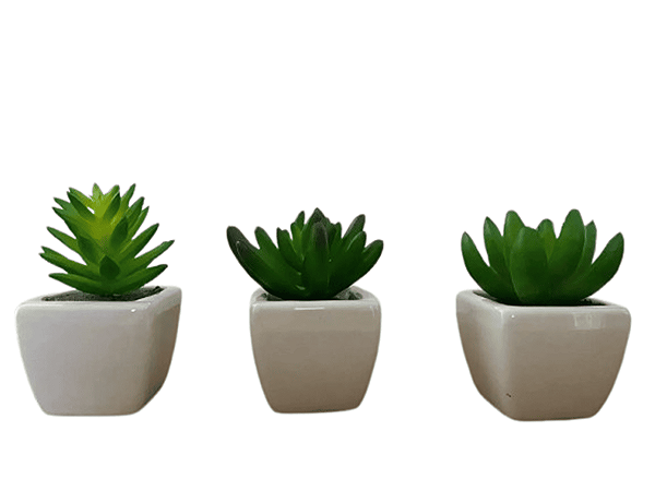 Vasinho de Cerâmica 3 Unidades com Suculenta Artificial Para Decoração