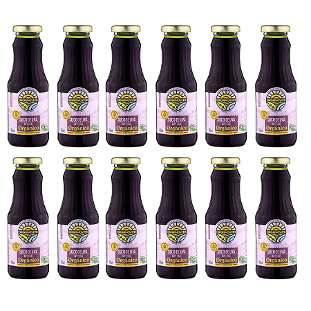 Kit 12 Suco De Uva Bordô Orgânico Integral Organovita 300 ml