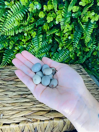 Fava de Oxóssi - Unidade