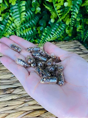 Pimenta da Costa - Unidade Cápsula