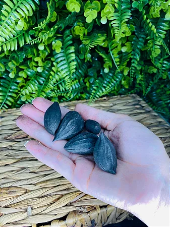 Fava de Exu - Unidade