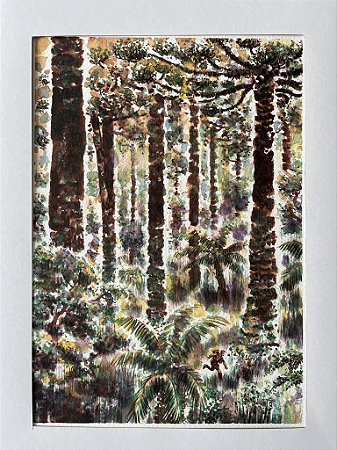 Arte Original - página 049 - Era Uma Vez no Contestado