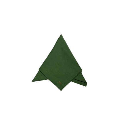 Guardanapo Verde