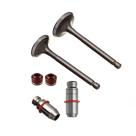 Valvula Guia E Retentor Kit (6pcs) Ww3 Ybr 125 00/16 Xtz 125