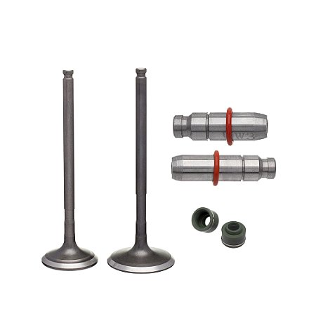 Valvula Guia E Retentor Kit (6pcs) Ww3 Fazer 150 14/ Xtz 150