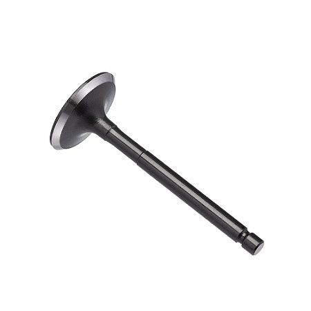 Valvula Admissao Kmp Ybr 125 00/16