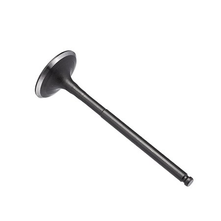 Valvula Admissao Kmp Ybr 125 Inj. 17/