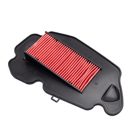 Elemento Filtro De Ar Eksim Elite 125 19/