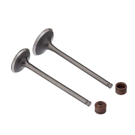 Valvula E Retentor Kit (4pcs) Ww3 Cg 150 04/ Ret. Marrom