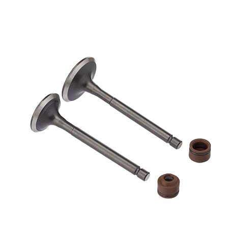 Valvula E Retentor Kit (4pcs) Ww3 Ybr 125 00/ Ret. Marrom