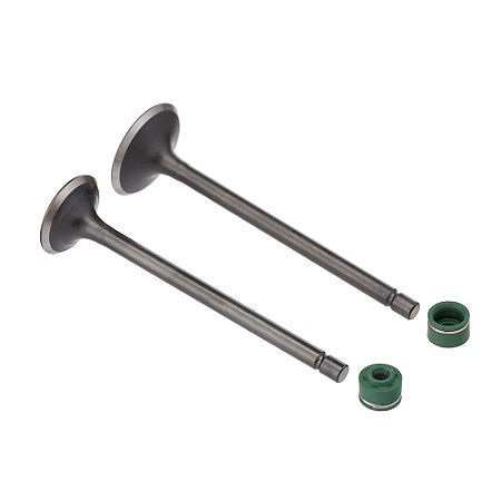 Valvula E Retentor Kit (4pcs) Ww3 Cg 125 76/91