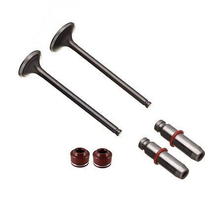 Valvula Guia E Retentor Kit (6pcs) Ww3 Cg 125 2009/