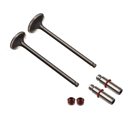 Valvula Guia E Retentor Kit (6pcs) Ww3 Cg 125 02/08 + 0.30mm