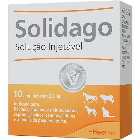 Solidago Injetável - 10 Ampolas de 2,2ml