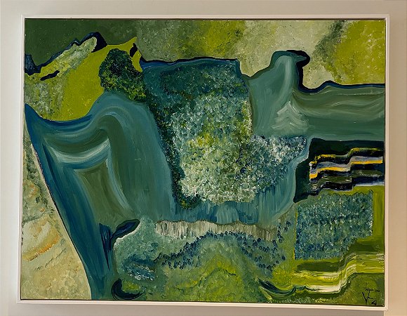 AMAZON SATELLITE FOOTAGE