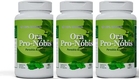 Ora Pró-Nóbis - Kit com Três Frascos de 120 Cápsulas de 500mg