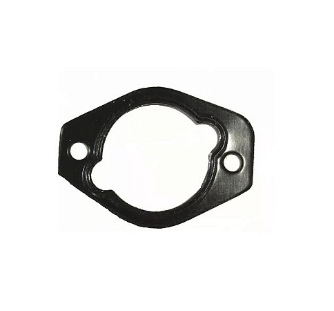 Chapa de Vedação / 1461074339 / Bomba Rotativa