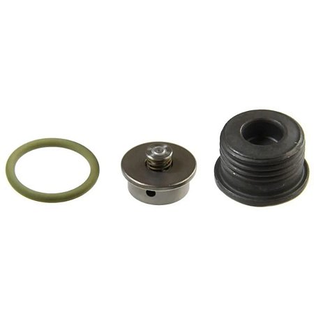 Válvula de Aspiração / F00N201244 / Bombas de Alta Pressão CP3