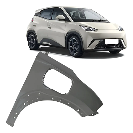 Paralama Dianteiro Com Furo Byd Mini Dolphin 2024 2025 Direito Passageiro