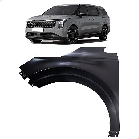 Paralama Dianteiro Carnival 2024 2025 Motorista Aluminio