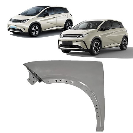 Paralama Dianteiro Byd Dolphin 2023 2024 2025 Lado Esquerdo