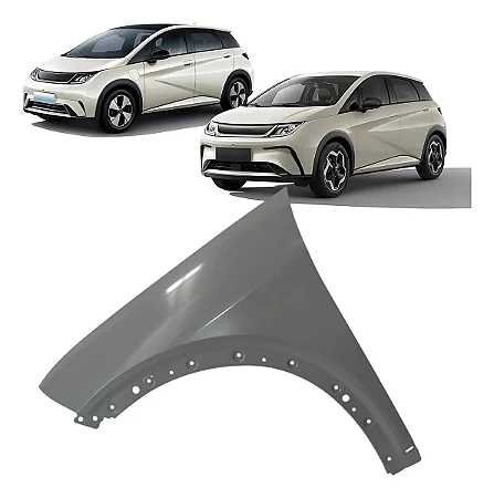 Paralama Dianteiro Byd Dolphin 2023 2024 2025 Lado Esquerdo